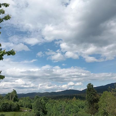 Apartman Ris Gorski Kotar Crni Lug Delnice Buitenkant foto