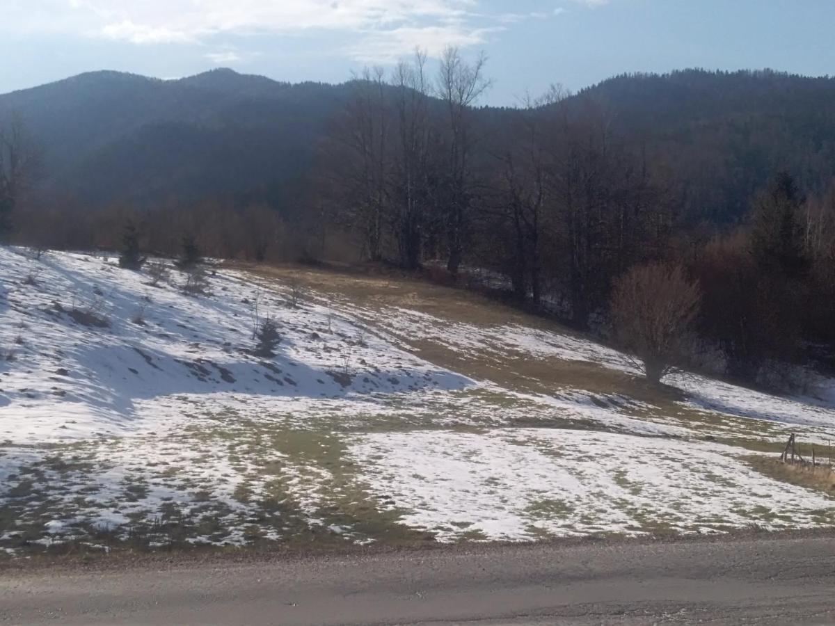 Apartman Ris Gorski Kotar Crni Lug Delnice Buitenkant foto