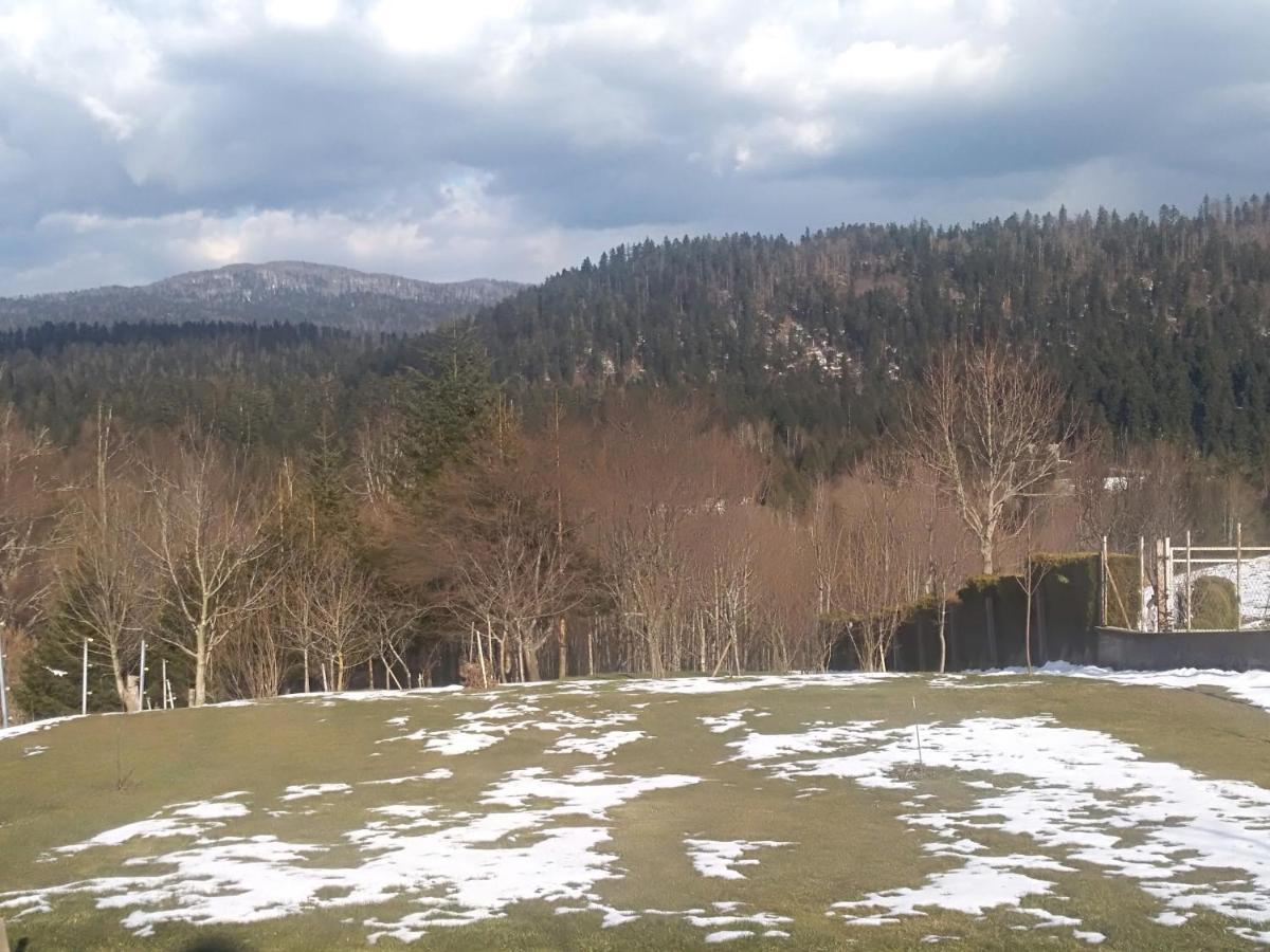 Apartman Ris Gorski Kotar Crni Lug Delnice Buitenkant foto
