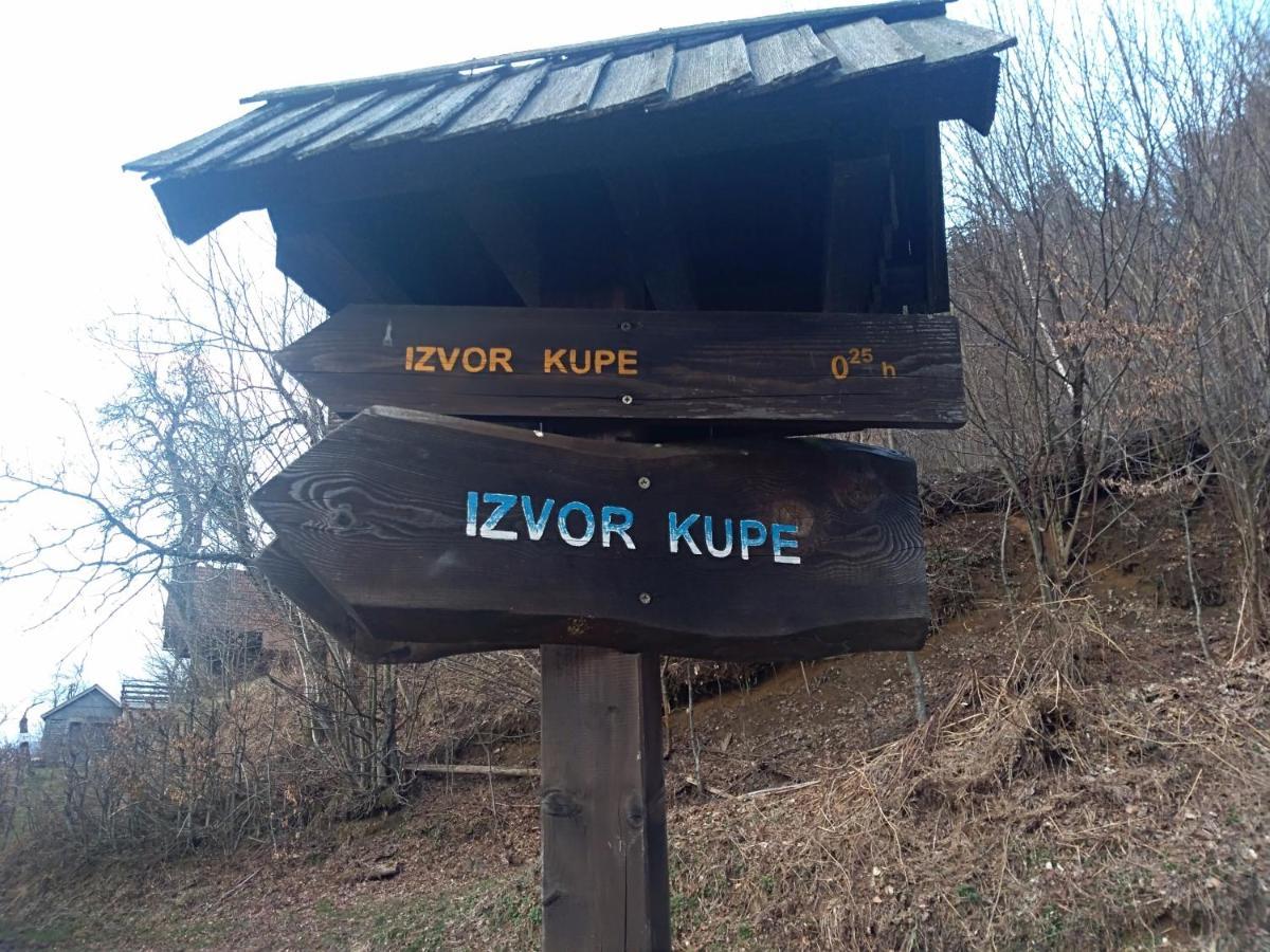 Apartman Ris Gorski Kotar Crni Lug Delnice Buitenkant foto