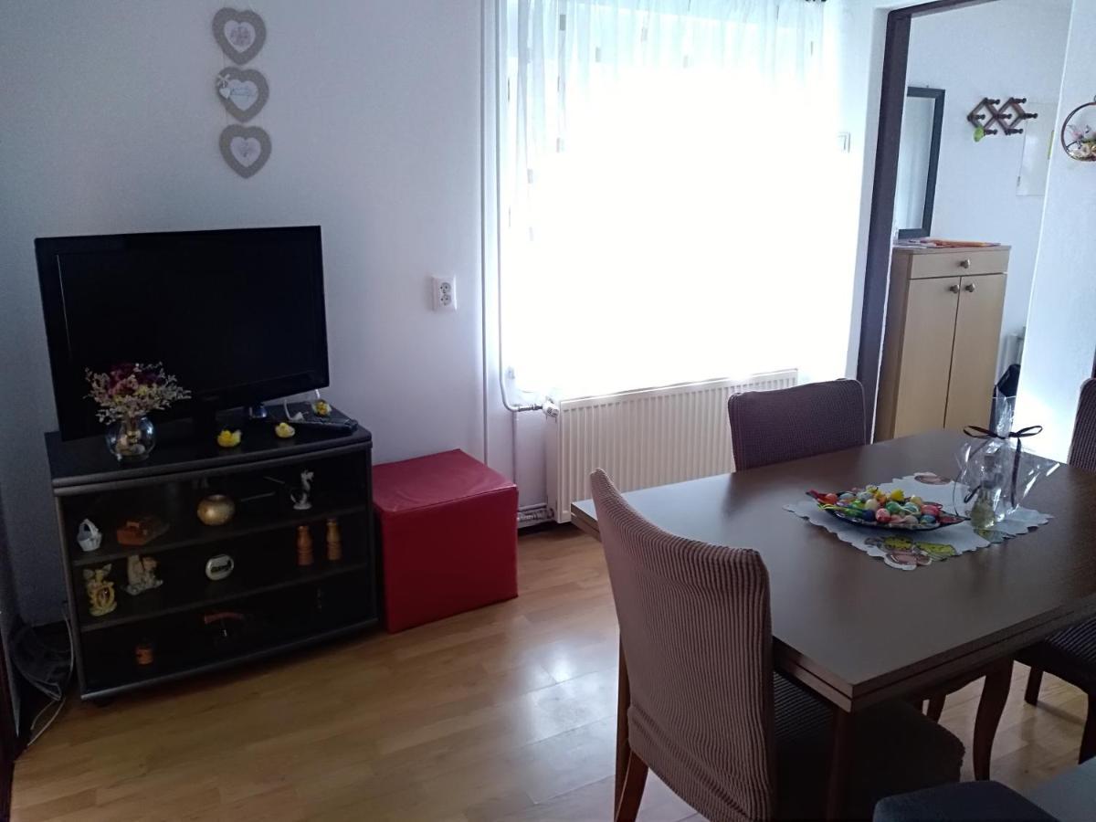 Apartman Ris Gorski Kotar Crni Lug Delnice Buitenkant foto