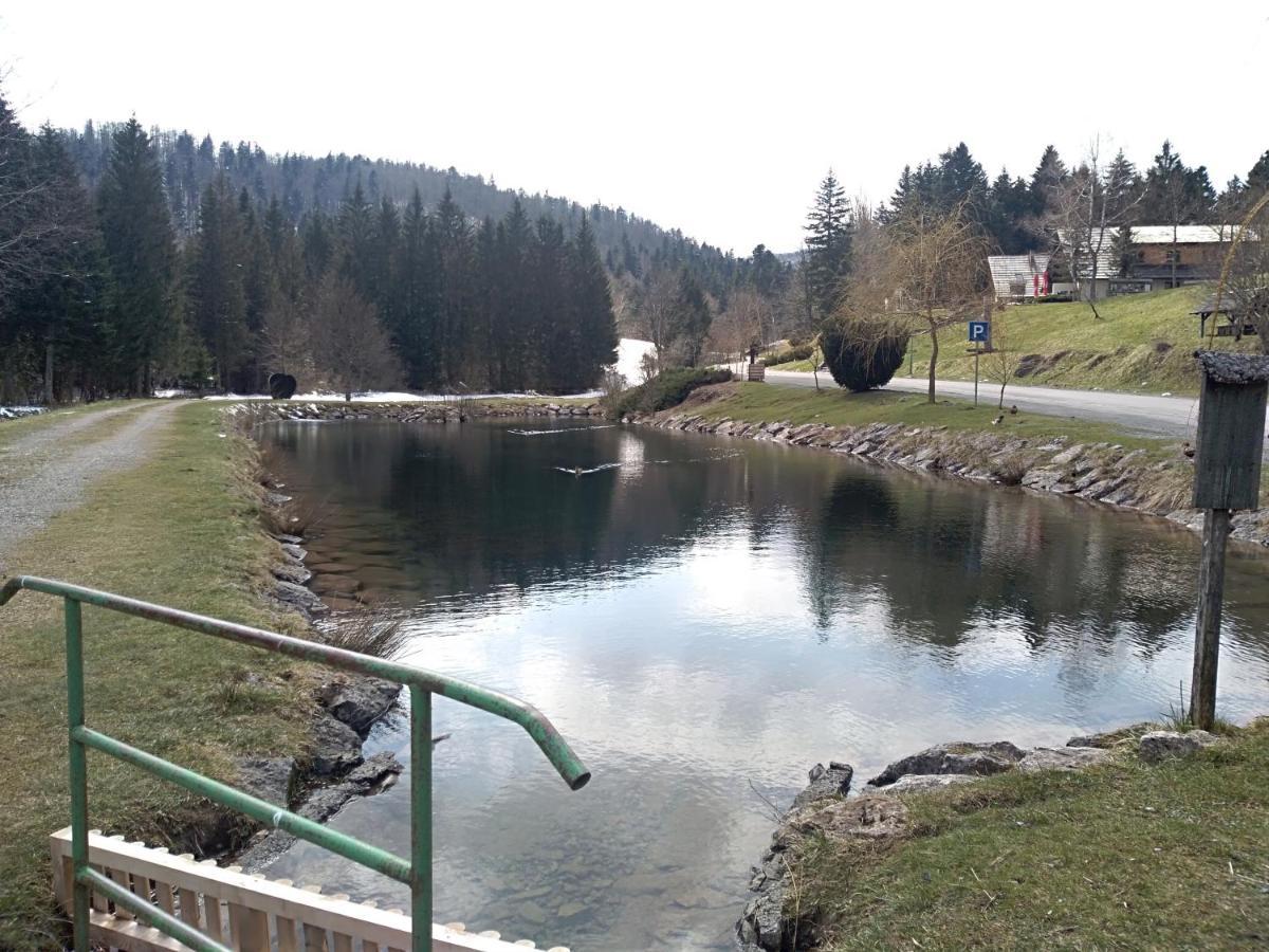 Apartman Ris Gorski Kotar Crni Lug Delnice Buitenkant foto