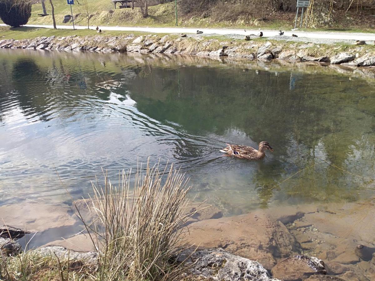 Apartman Ris Gorski Kotar Crni Lug Delnice Buitenkant foto