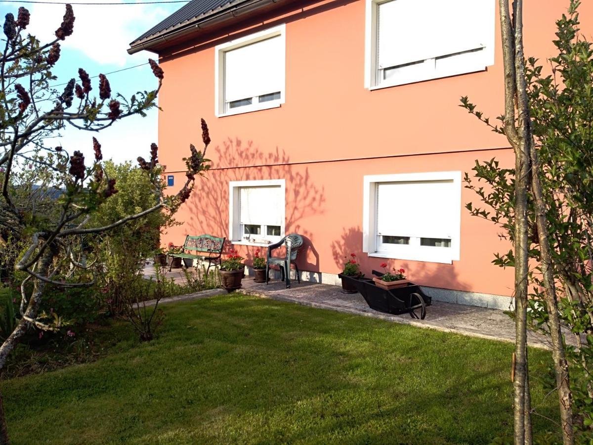 Apartman Ris Gorski Kotar Crni Lug Delnice Buitenkant foto