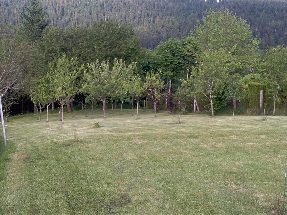 Apartman Ris Gorski Kotar Crni Lug Delnice Buitenkant foto