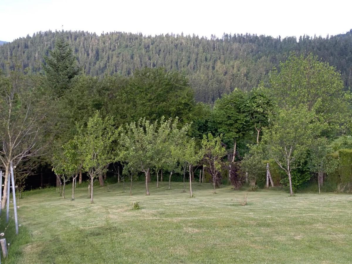 Apartman Ris Gorski Kotar Crni Lug Delnice Buitenkant foto