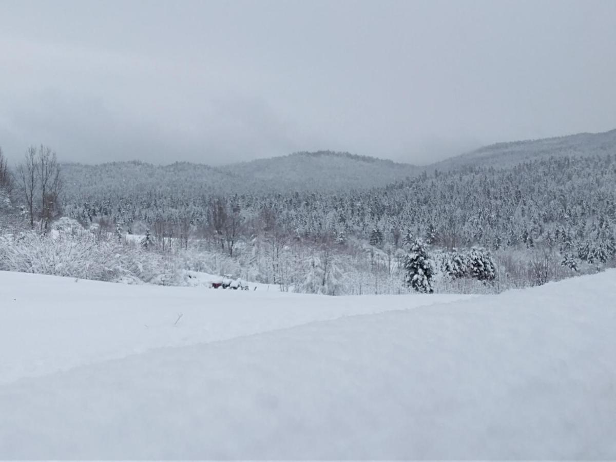 Apartman Ris Gorski Kotar Crni Lug Delnice Buitenkant foto