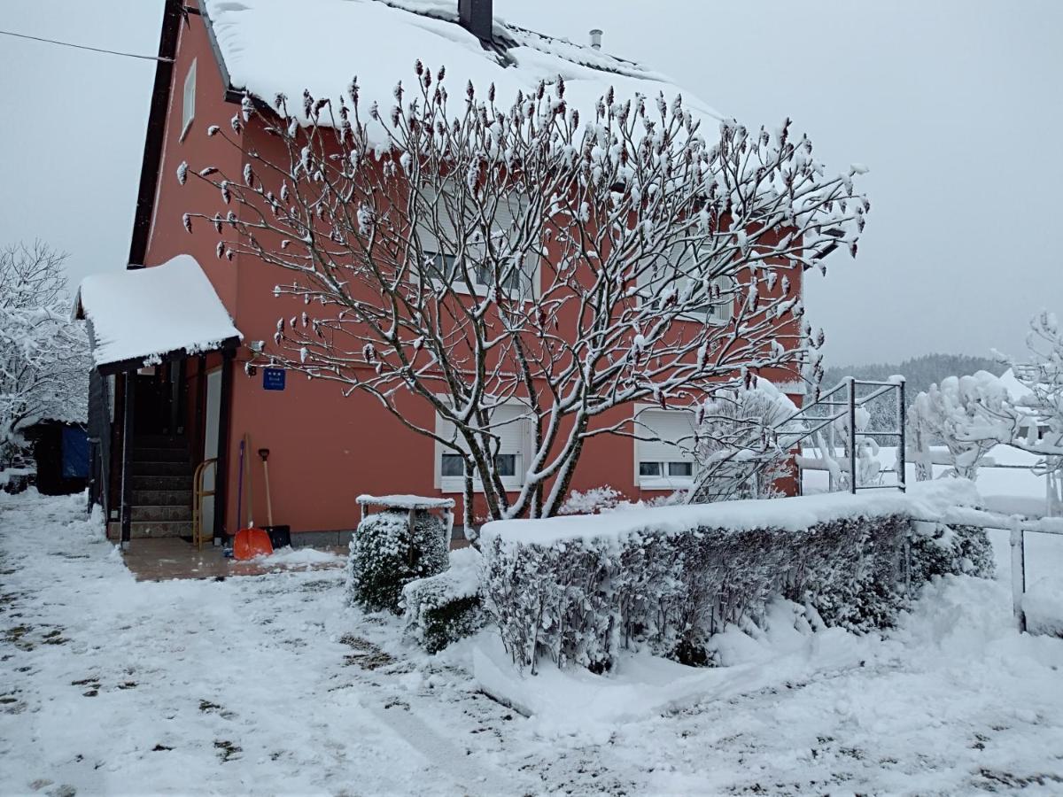 Apartman Ris Gorski Kotar Crni Lug Delnice Buitenkant foto