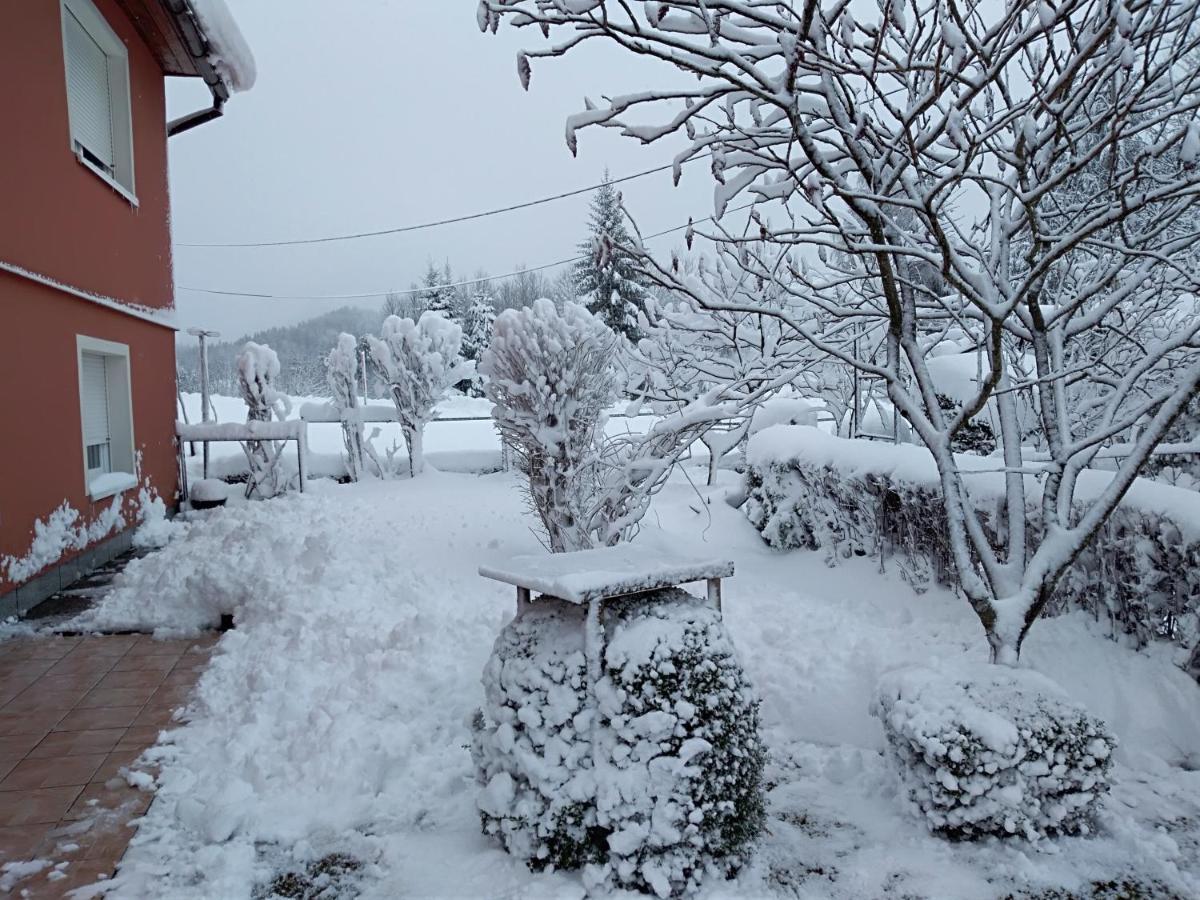 Apartman Ris Gorski Kotar Crni Lug Delnice Buitenkant foto