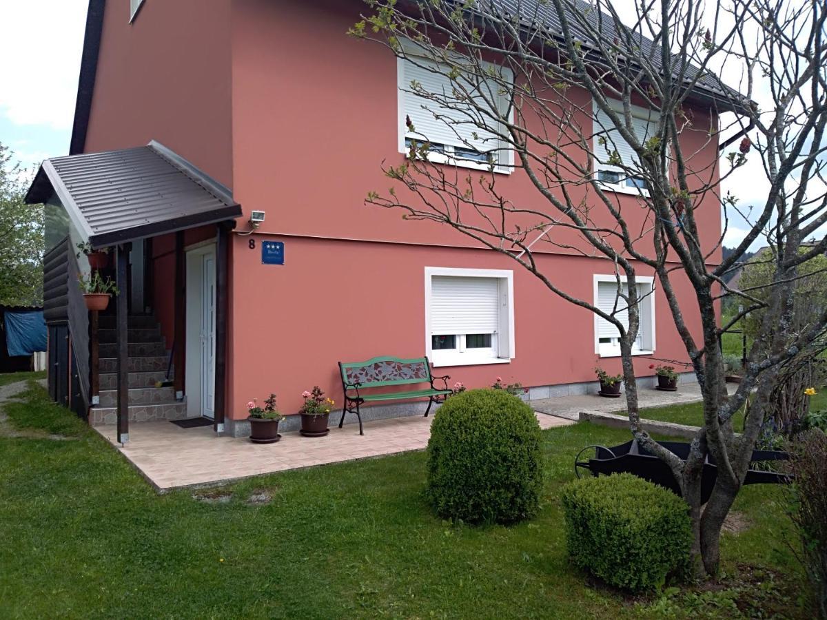 Apartman Ris Gorski Kotar Crni Lug Delnice Buitenkant foto