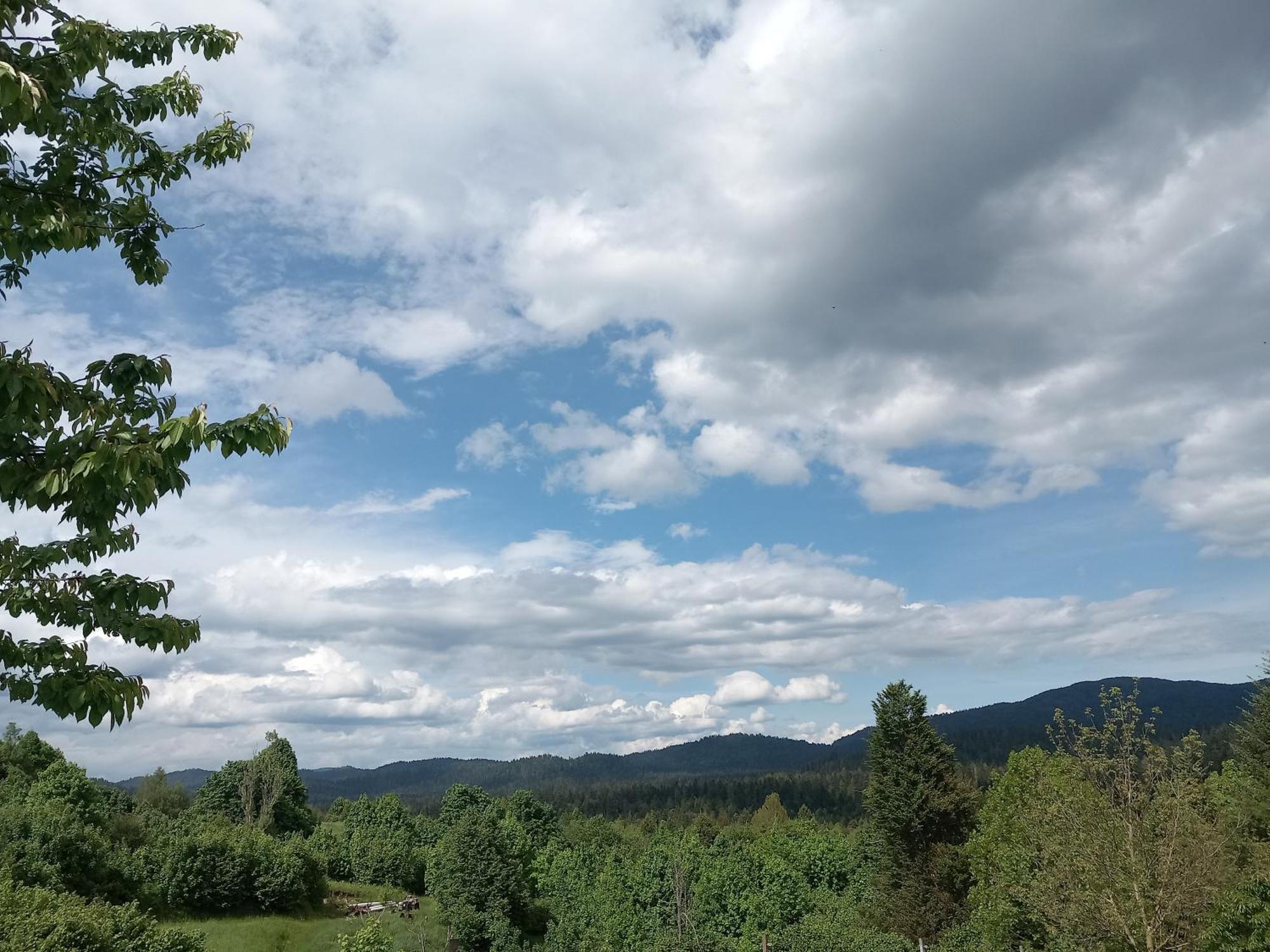 Apartman Ris Gorski Kotar Crni Lug Delnice Buitenkant foto